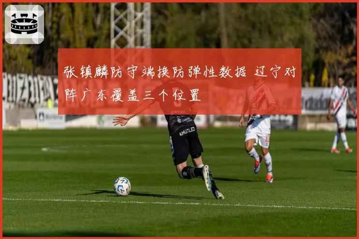 张镇麟防守端换防弹性数据 辽宁对阵广东覆盖三个位置