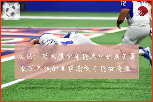 名记：若老鹰今年能选中优质侧翼 表现不佳的里萨谢很可能被清理