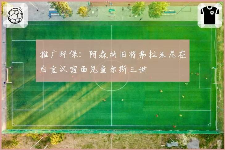 推广环保：阿森纳旧将弗拉米尼在白金汉宫面见查尔斯三世