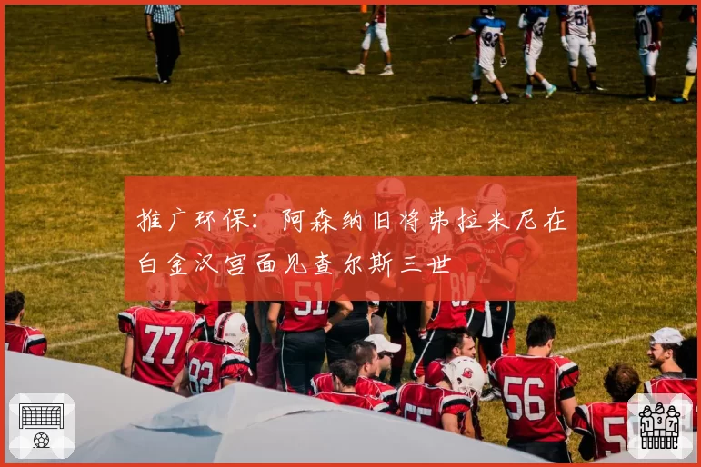 推广环保：阿森纳旧将弗拉米尼在白金汉宫面见查尔斯三世