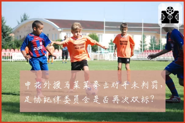 申花外援马莱莱拳击对手未判罚,足协纪律委员会是否再次双标?