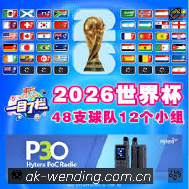 奖项证书